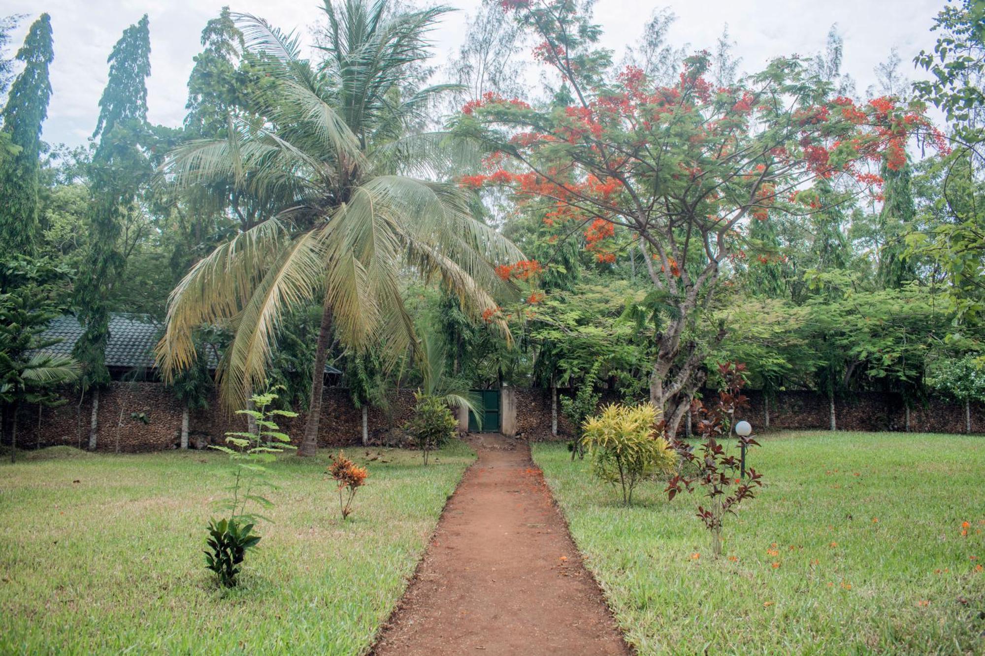 Kijani Cottages In Diani Diani Beach Exterior photo