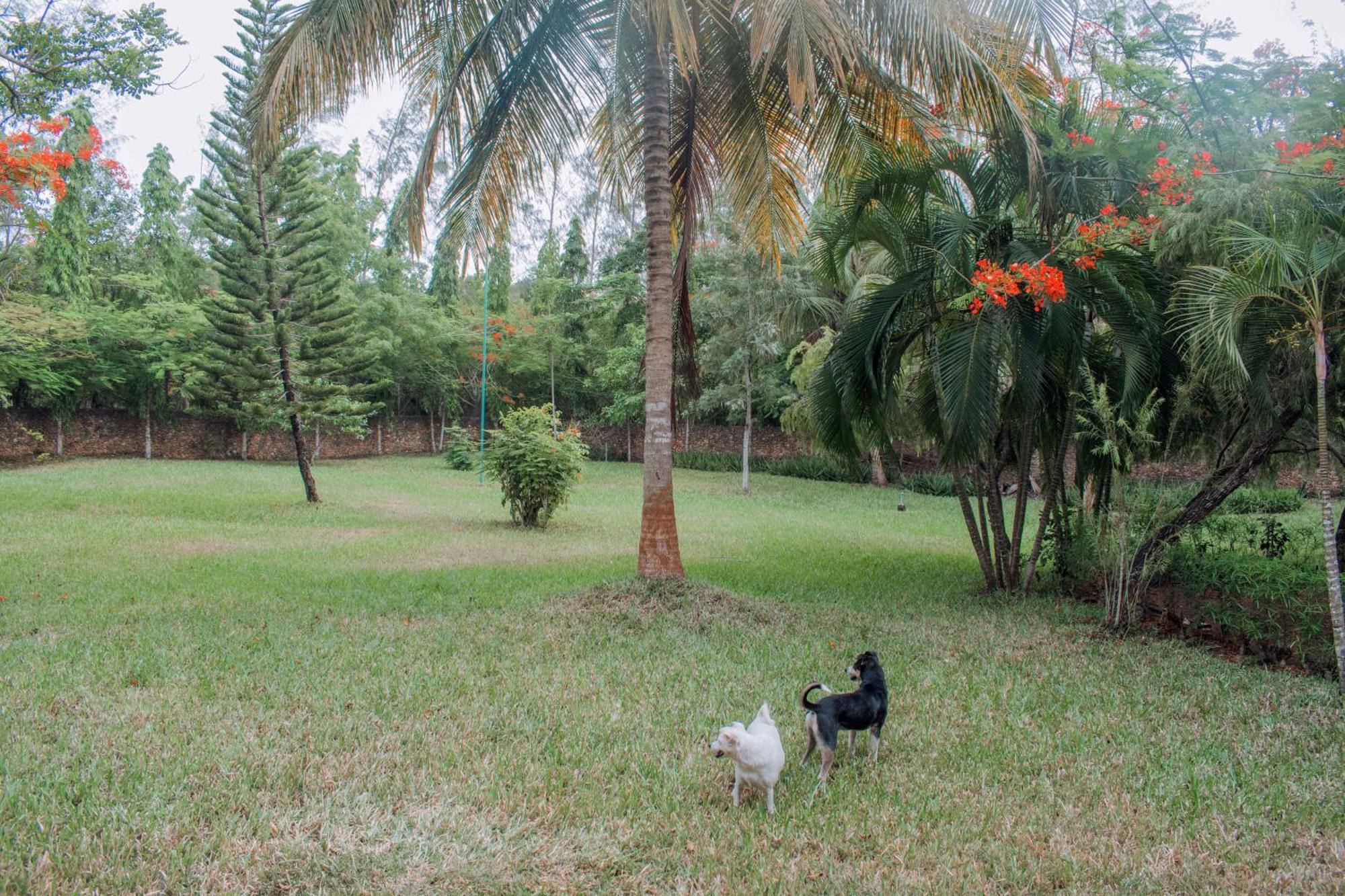 Kijani Cottages In Diani Diani Beach Exterior photo